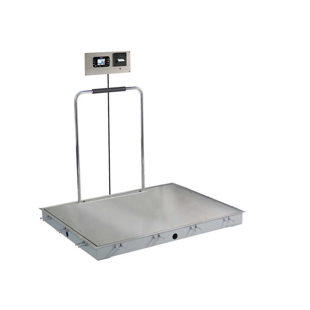 In-Floor Dialysis Scale